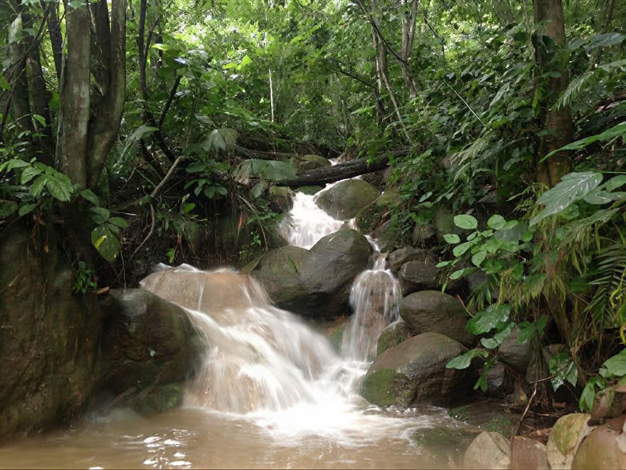 Ritiro Weekend Ayahuasca