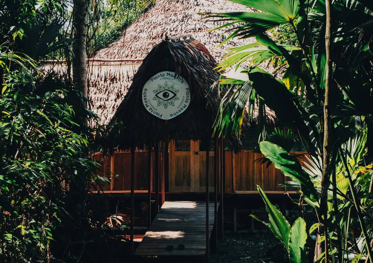 7-giorni Iniziazione all’Ayahuasca