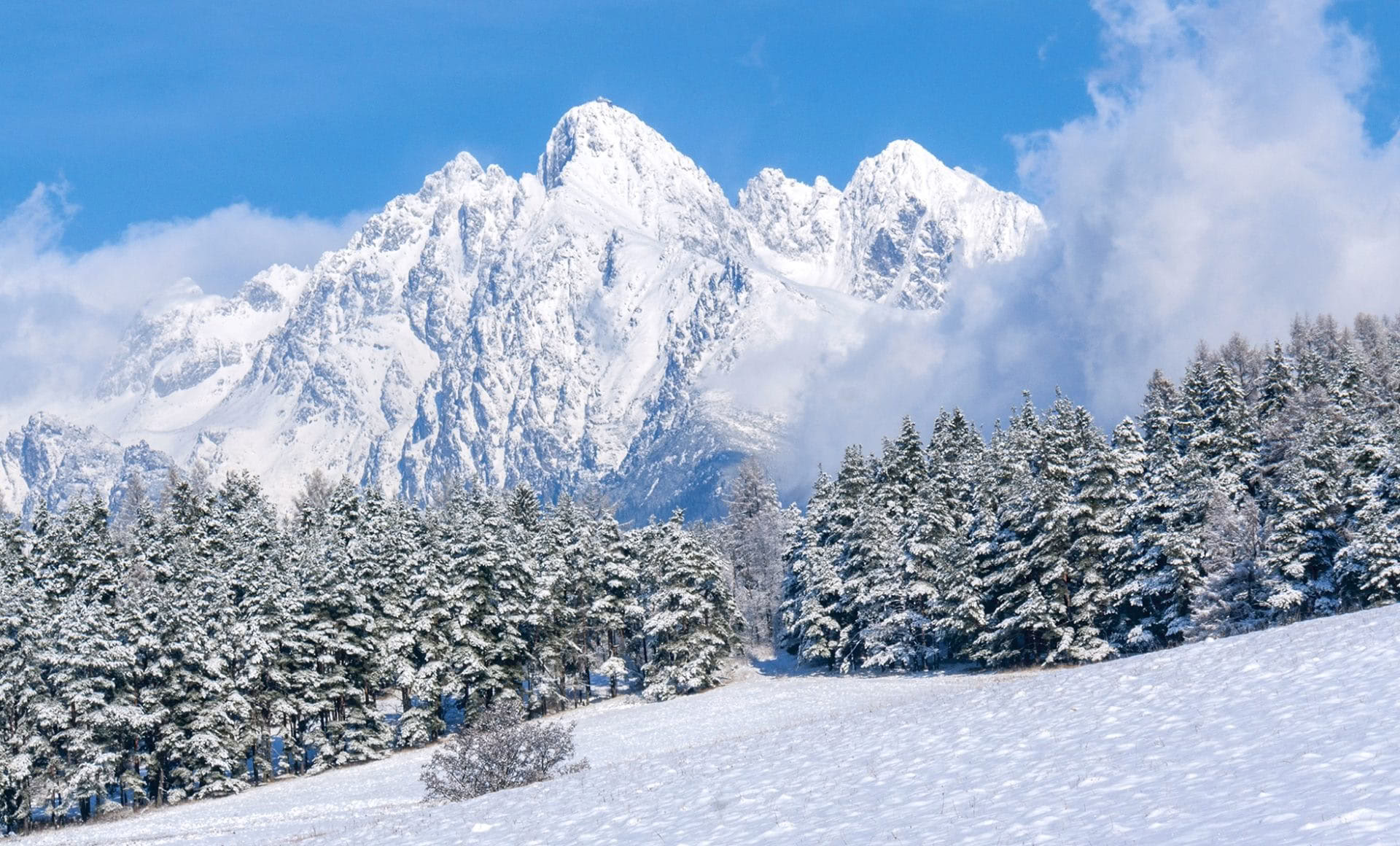 Mercatini di Natale e Paese delle Meraviglie Invernale Slovacchia – Autoguidato