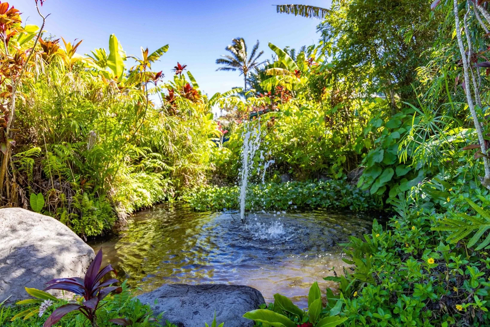 Get Your Sh*t Together Ritiro - Maui