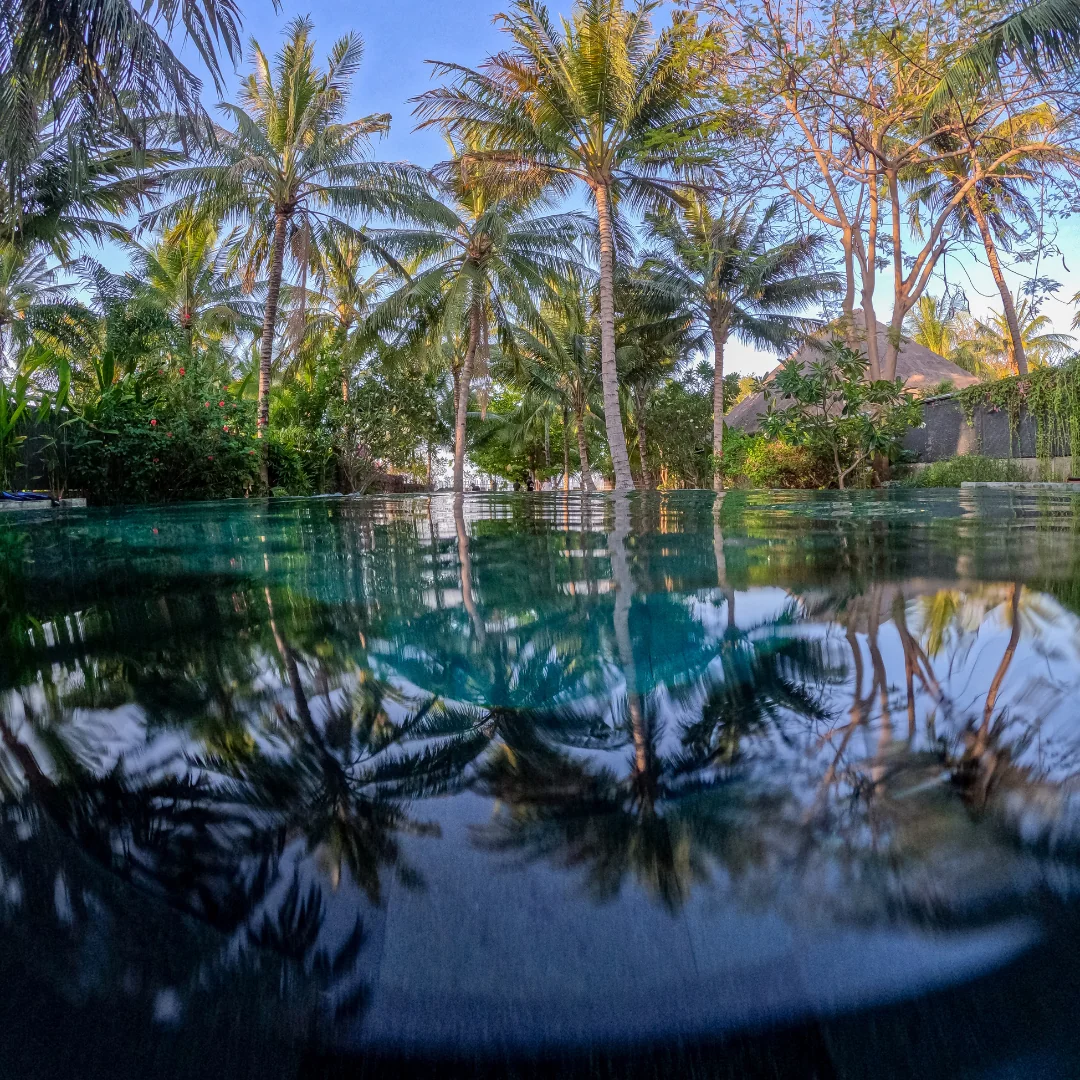 DIVE + REVIVE + THRIVE | APNEA | RESPIRAZIONE | MINDSET