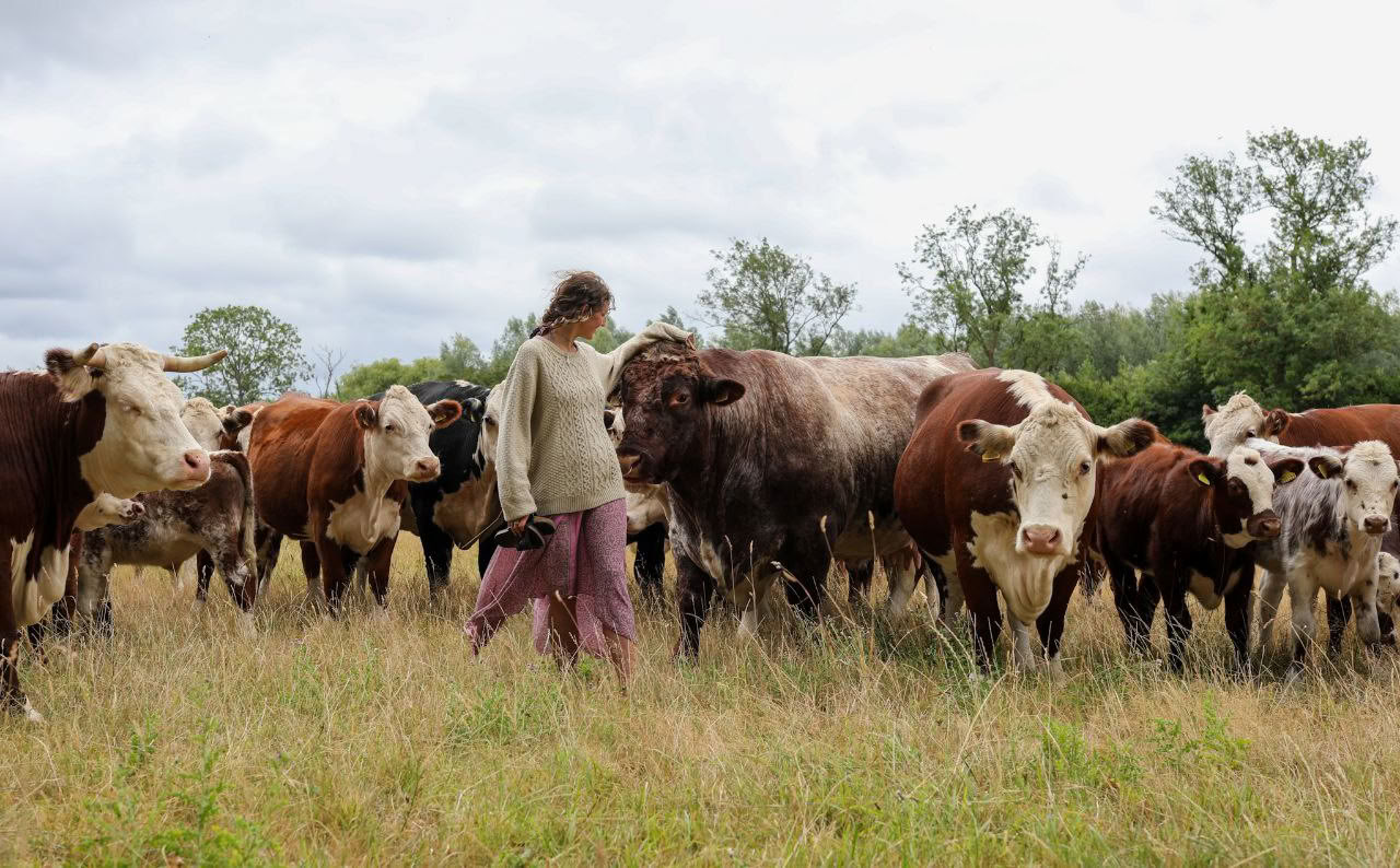 Natural Flow ༄ Ritiro di Yoga 2026