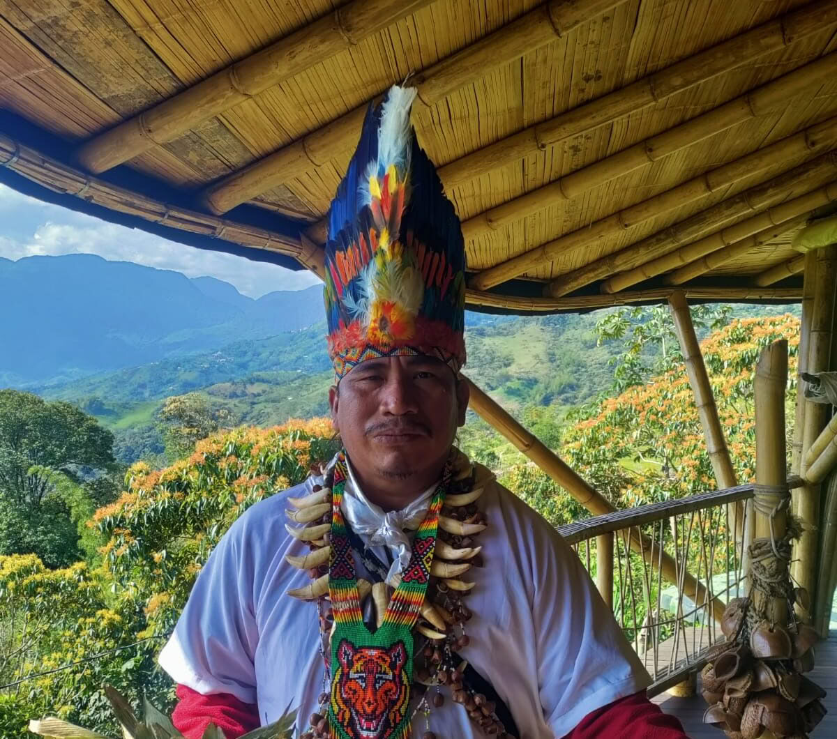 Ayahuasca & Viaggio Somatico