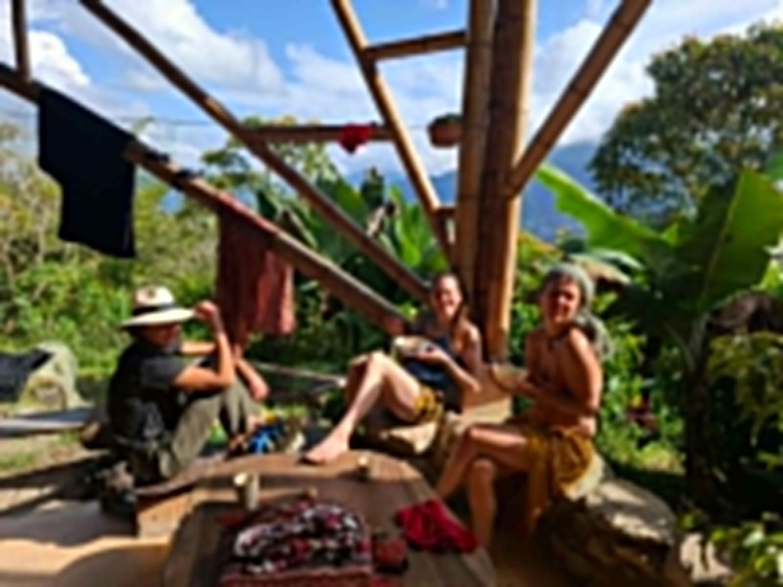 Ayahuasca & Viaggio Somatico