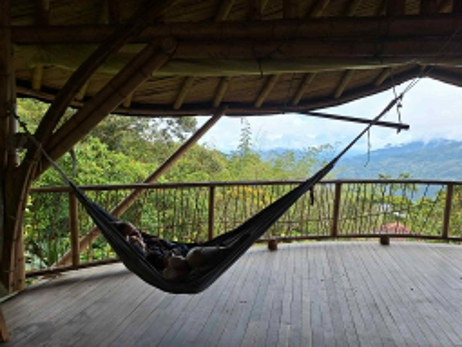 Ayahuasca & Viaggio Somatico