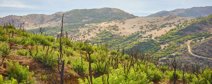 Camere del Ritiro di Yoga e Safari in Kenya