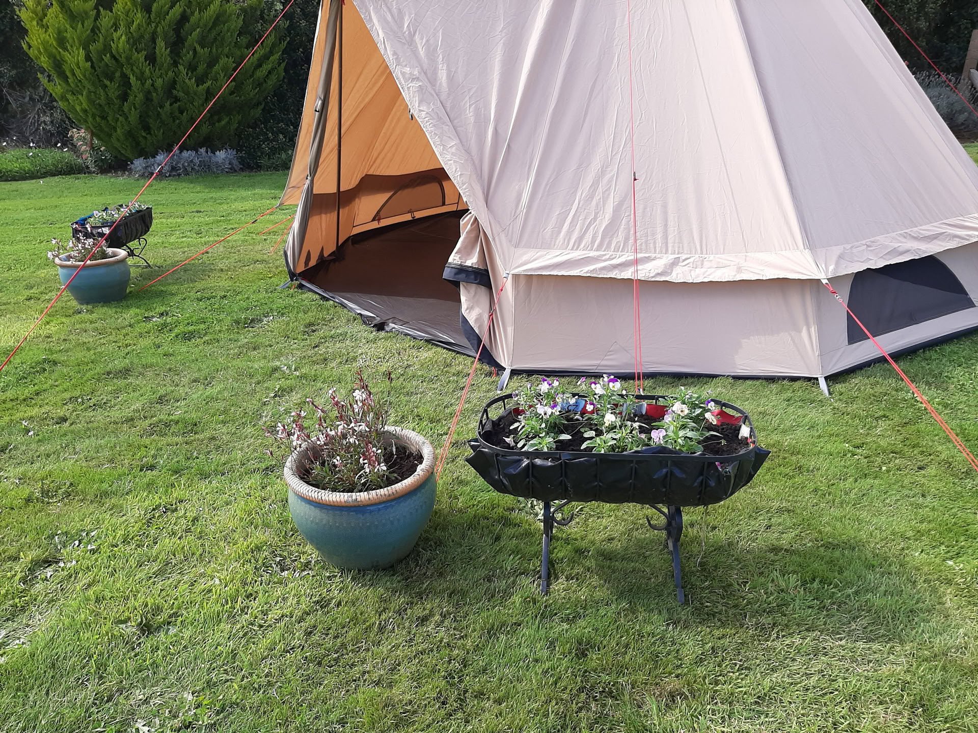 Venerdì 16 luglio - Esperienza nella tenda di guarigione per due