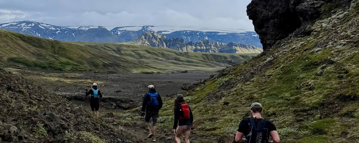 Alive & Running