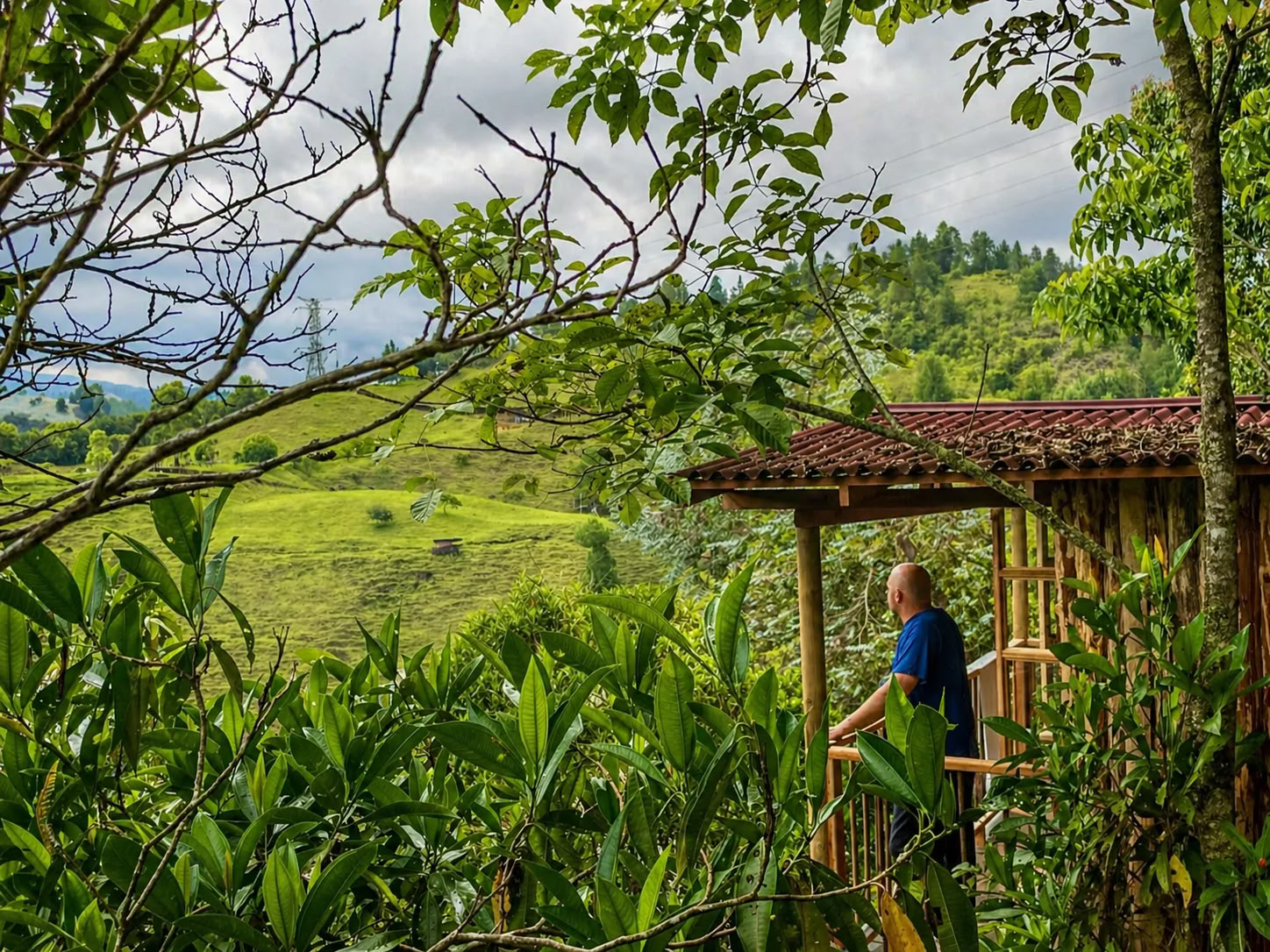 Ritiro di Ayahuasca a Medellín nel dicembre 2026
