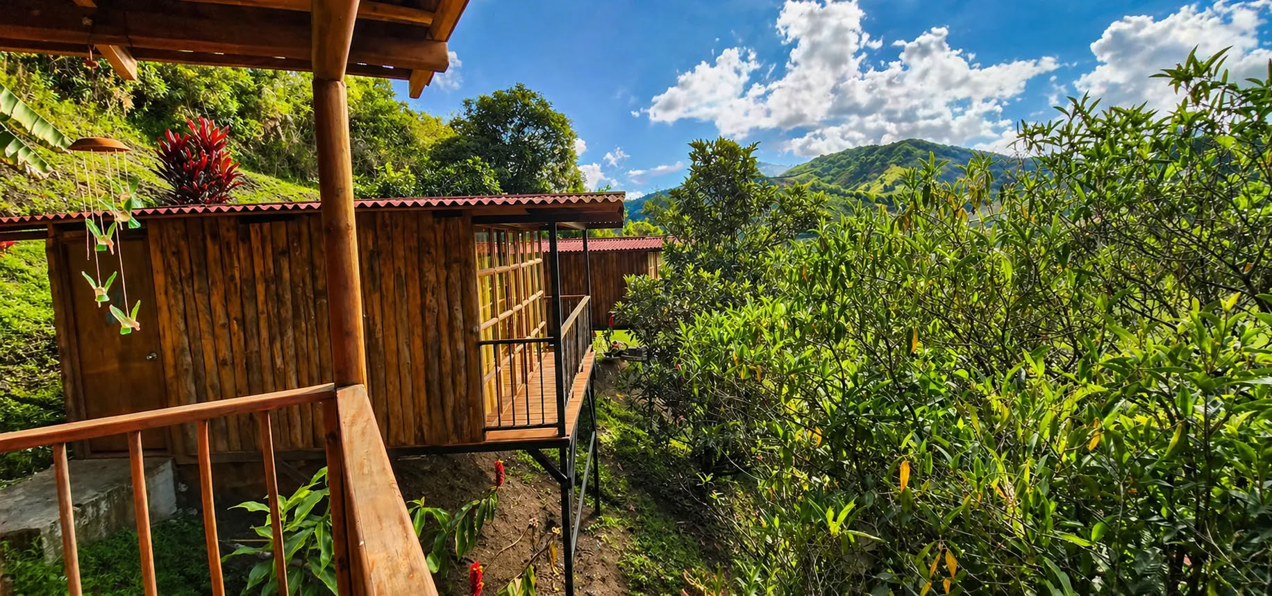 Ritiro di Ayahuasca a Medellín nel dicembre 2026