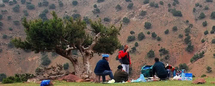 Ritiro di Yoga in Montagna