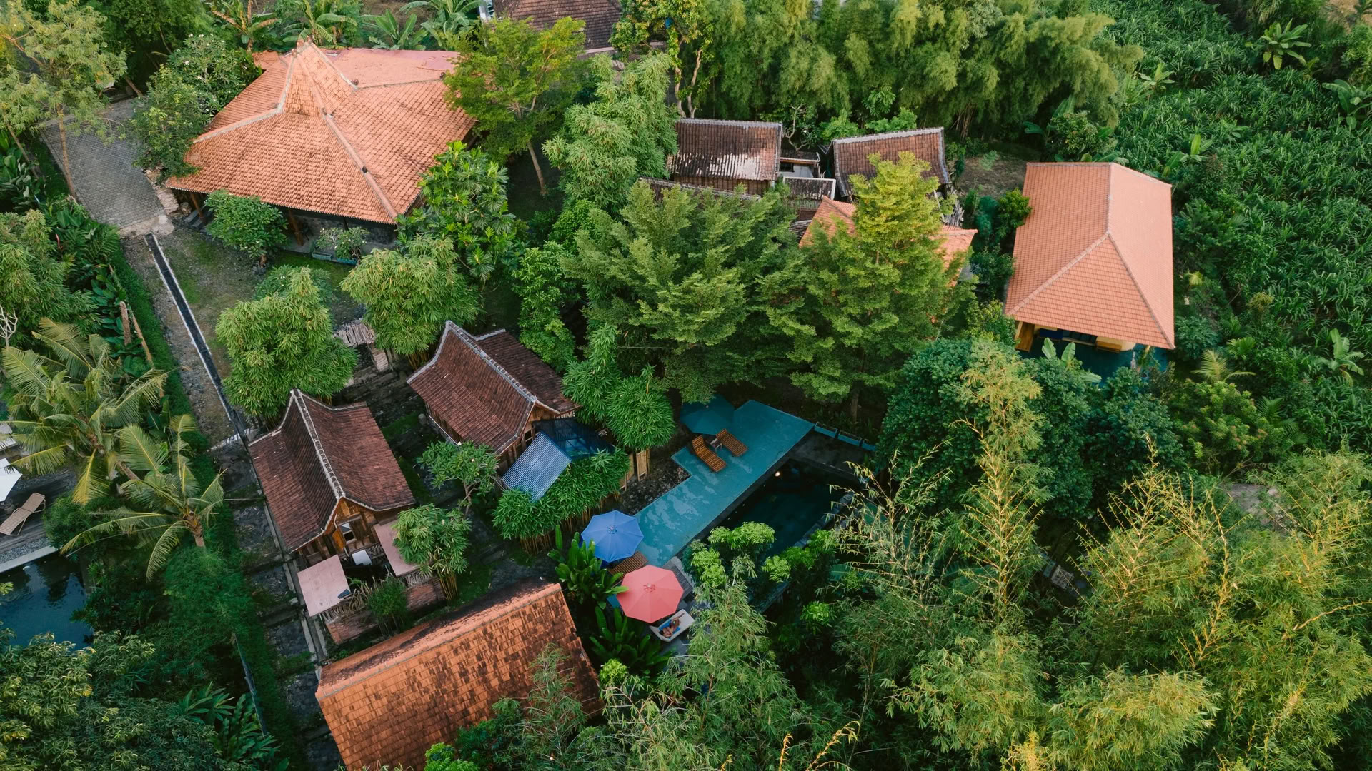 Ashtanga Yoga Ritiro in Bali