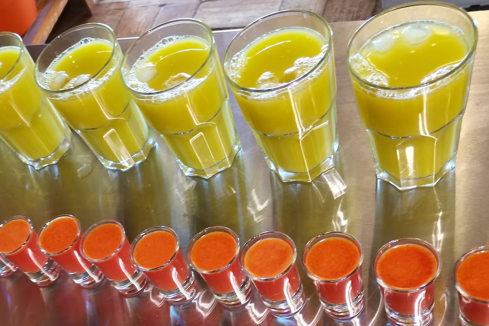 Juice Detox, Yoga & Wellness Ritiro – 29 Ago 2026 - 05 Set 2026