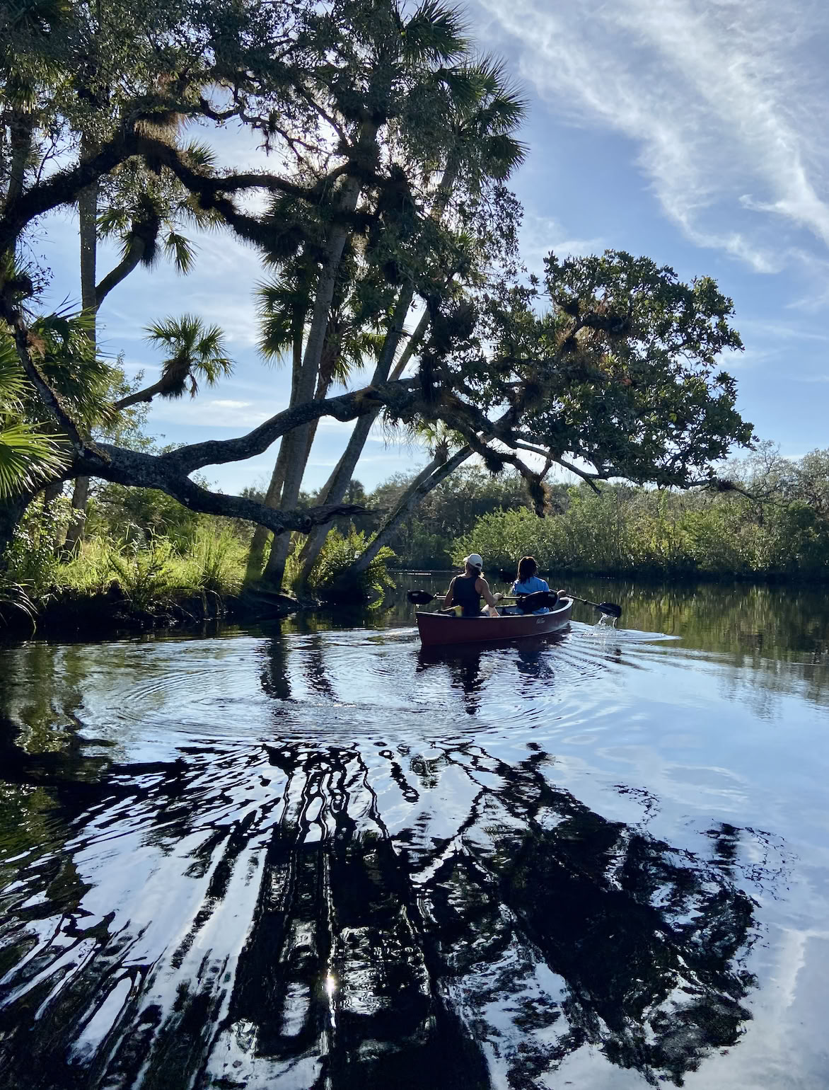 Wild Florida Family Ritiro di Primavera