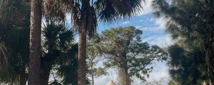 Wild Florida Family Ritiro di Primavera