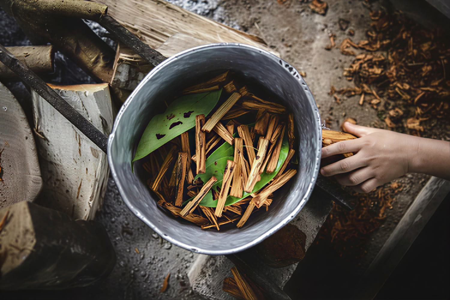 Ritiro privato di Ayahuasca con rituali andini (3 giorni) Ritiro cerimonia di Ayahuasca con rituali andini (privato, 3 giorni) 2 sessioni di Ayahuasca