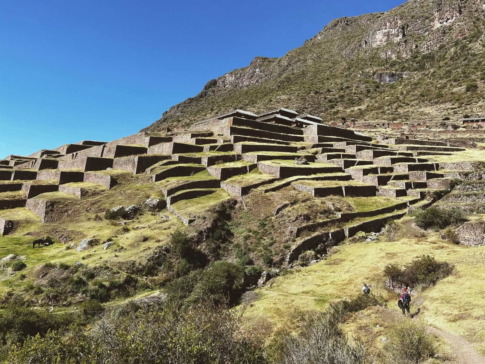 3 Giorni di Trekking Spirituale a Huchuy Qosqo con la Medicina di San Pedro