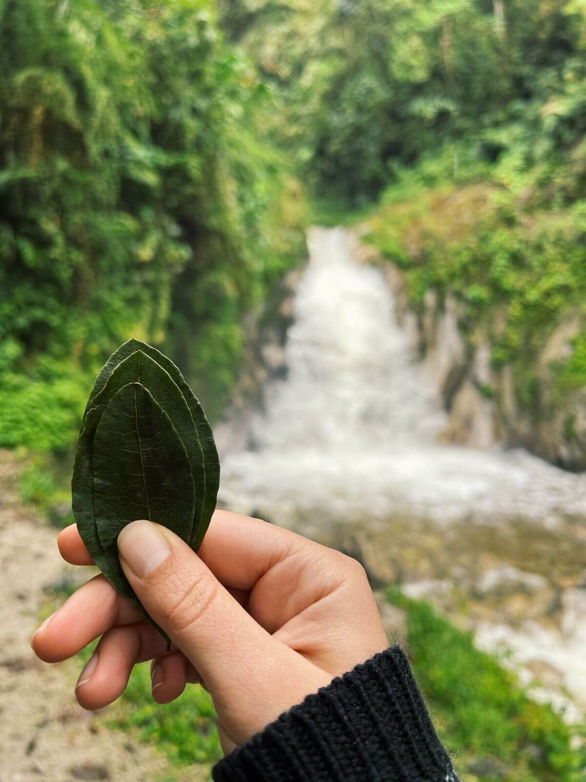 Machu Picchu Mistico: Viaggio con Momenti di Consapevolezza (2 Giorni)
