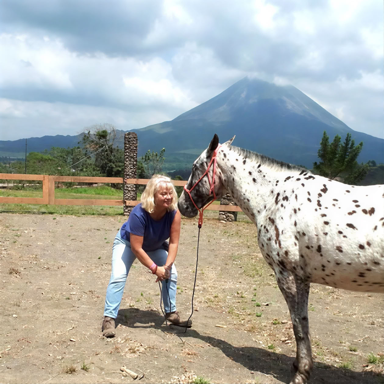 Yoga & Guarigione con i Cavalli