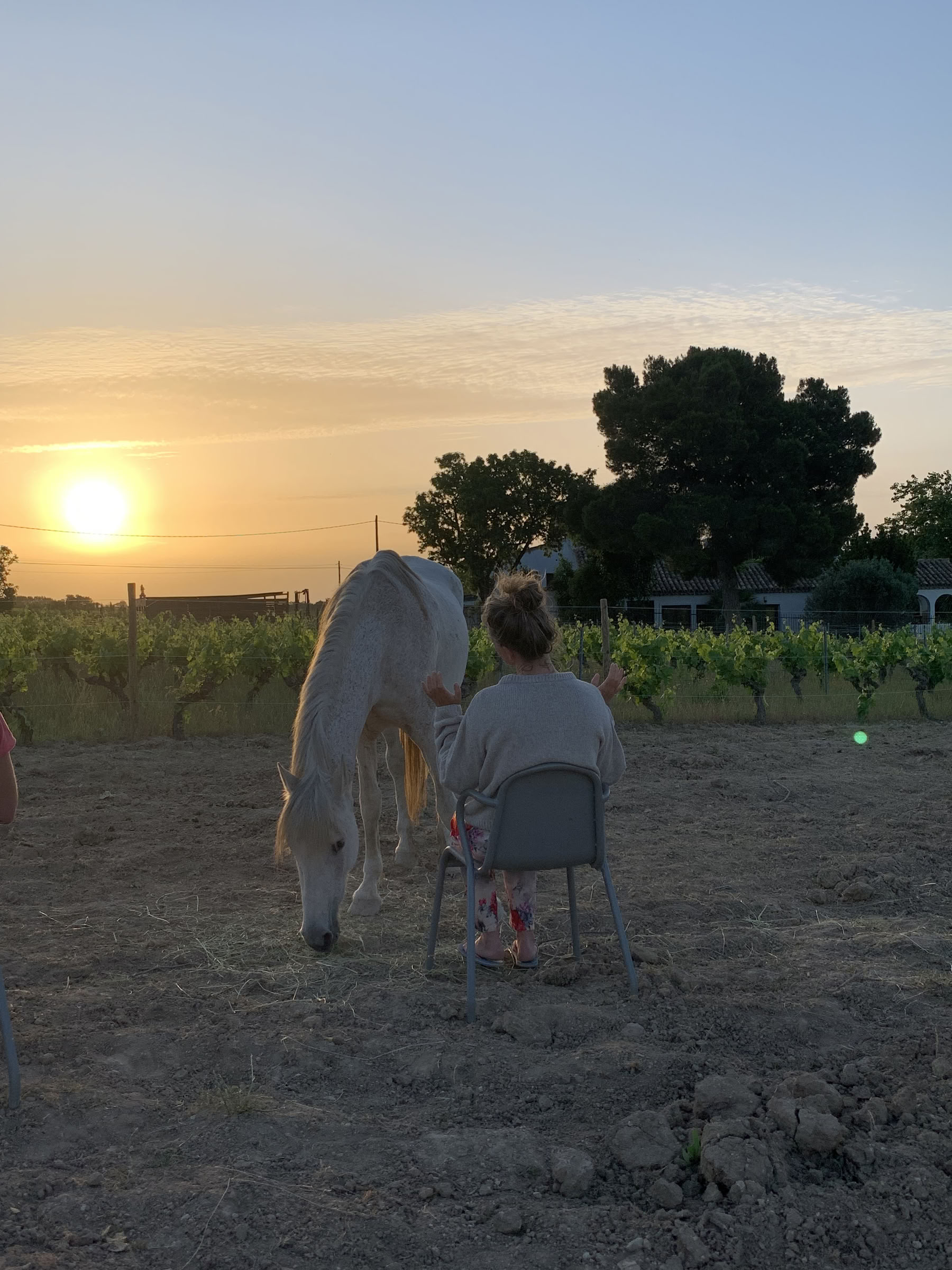 Yoga & Guarigione con i Cavalli