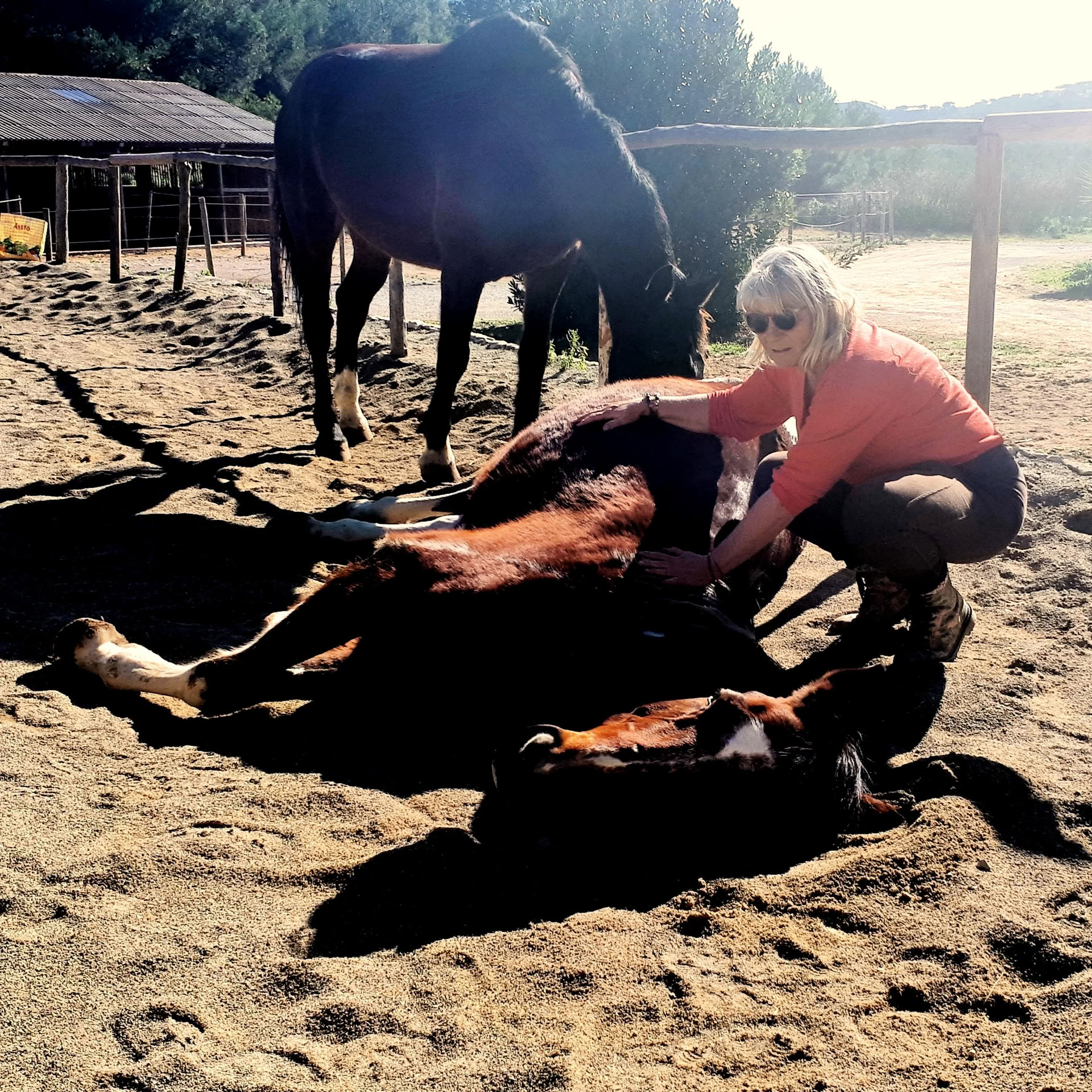 Yoga & Guarigione con i Cavalli