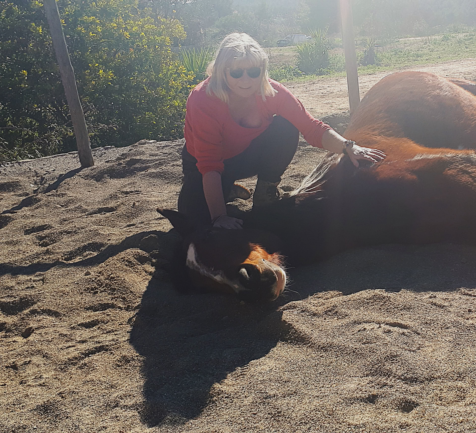 Yoga & Guarigione con i Cavalli