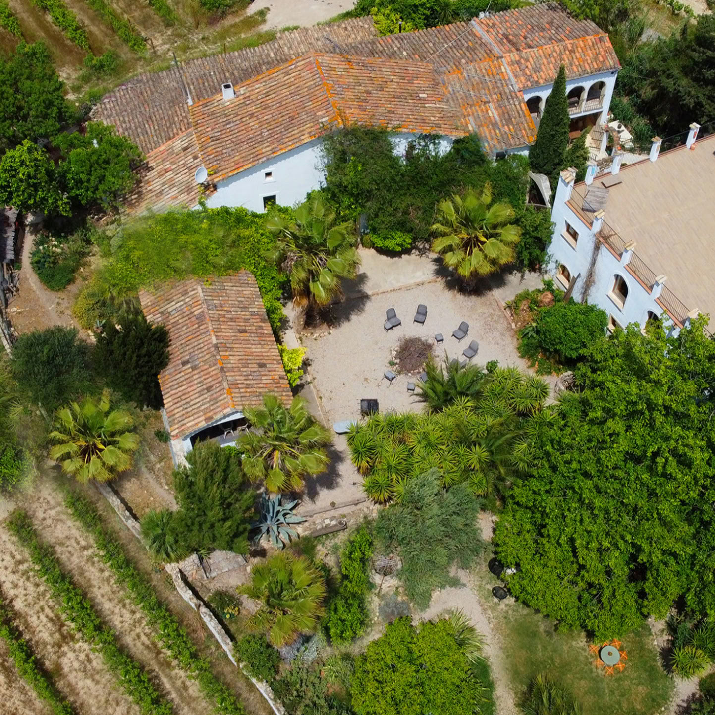 Vacanze di Yoga Alaya