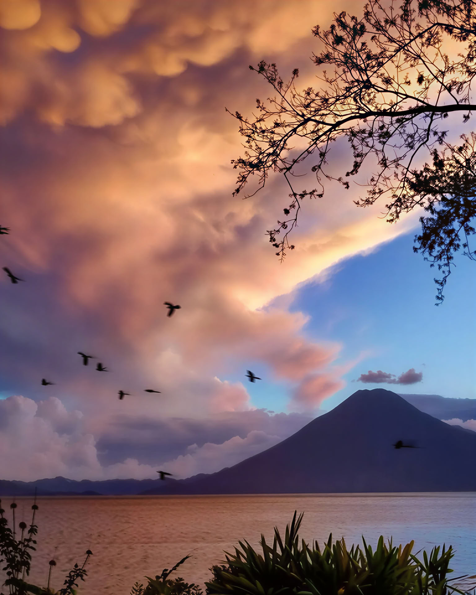 Heart of the Earth: Ritiro di Yoga e Natura