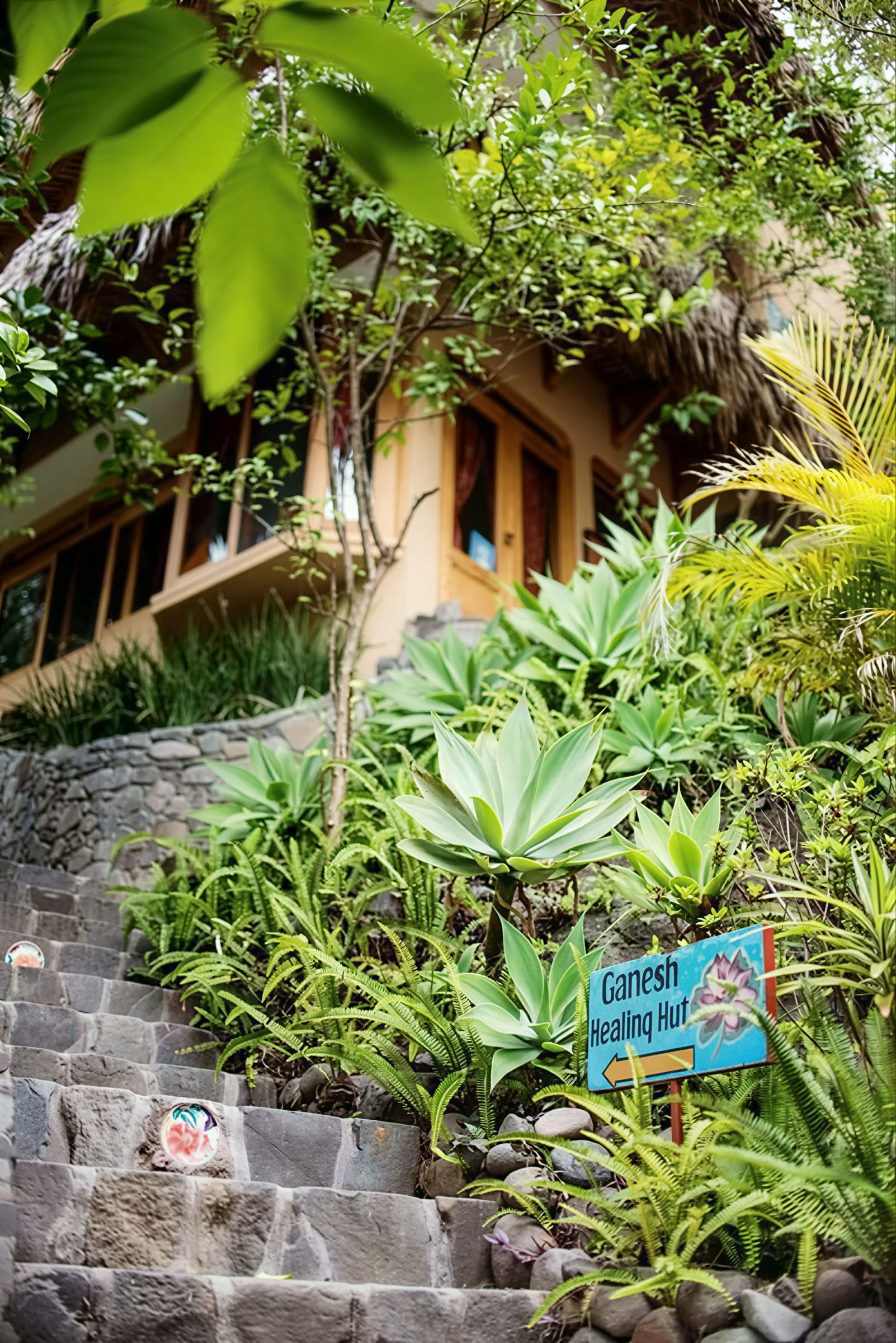 Ritiro di yoga di 6 giorni in Guatemala – 12-17 giugno 2027 con Michelle Fajkus