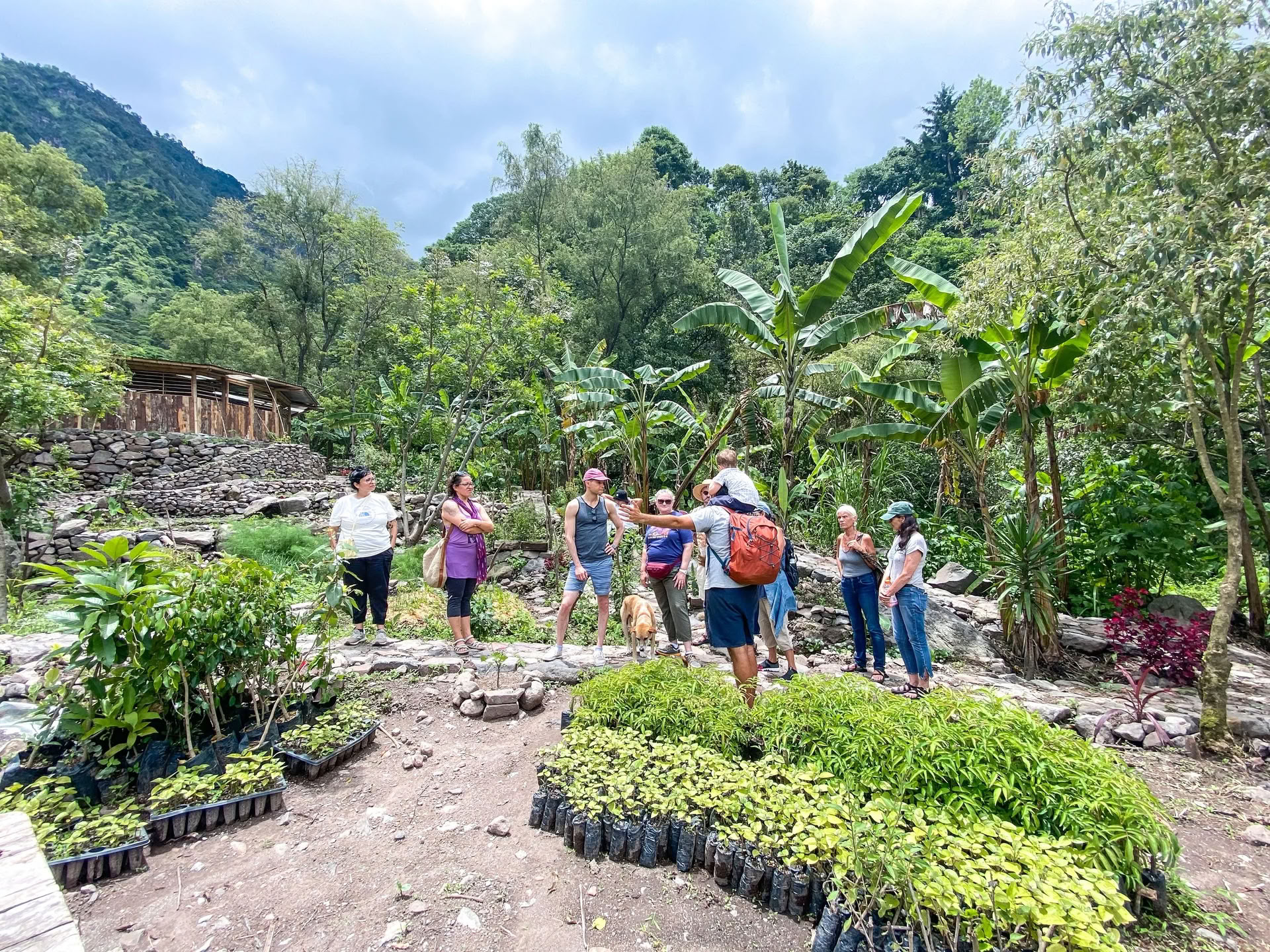 Ritiro di yoga di 6 giorni in Guatemala – 12-17 giugno 2027 con Michelle Fajkus