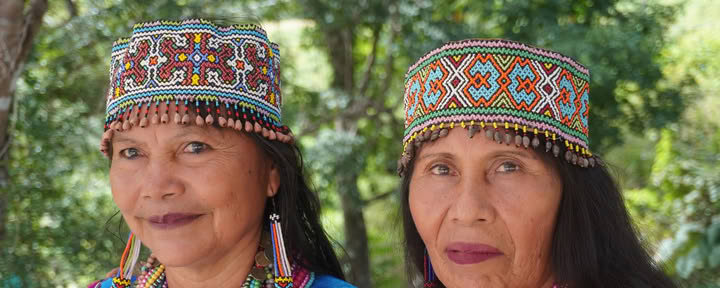 8 Giorni | 7 Notti Immersione Shipibo con Ayahuasca Informata sul Trauma