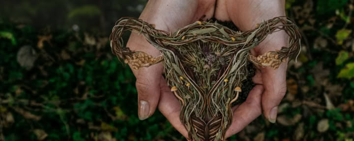 Wisdom Rising | Un’immersione di psilocibina e perimenopausa per donne - Solo lista d’attesa, date da definire