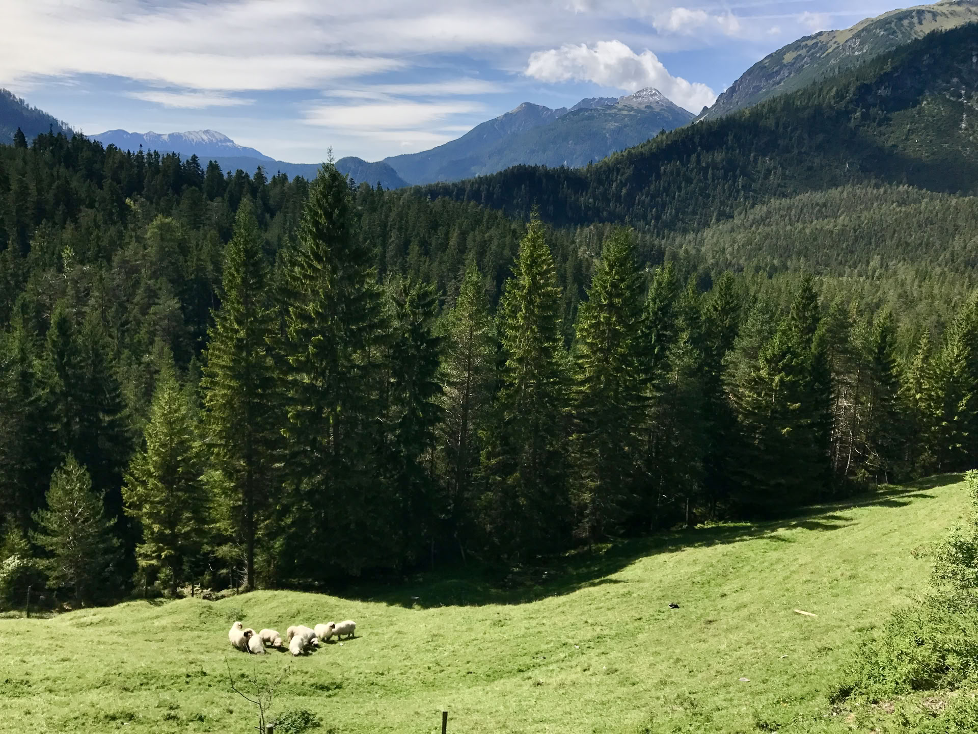 Yoga & Escursioni nelle Alpi austriache