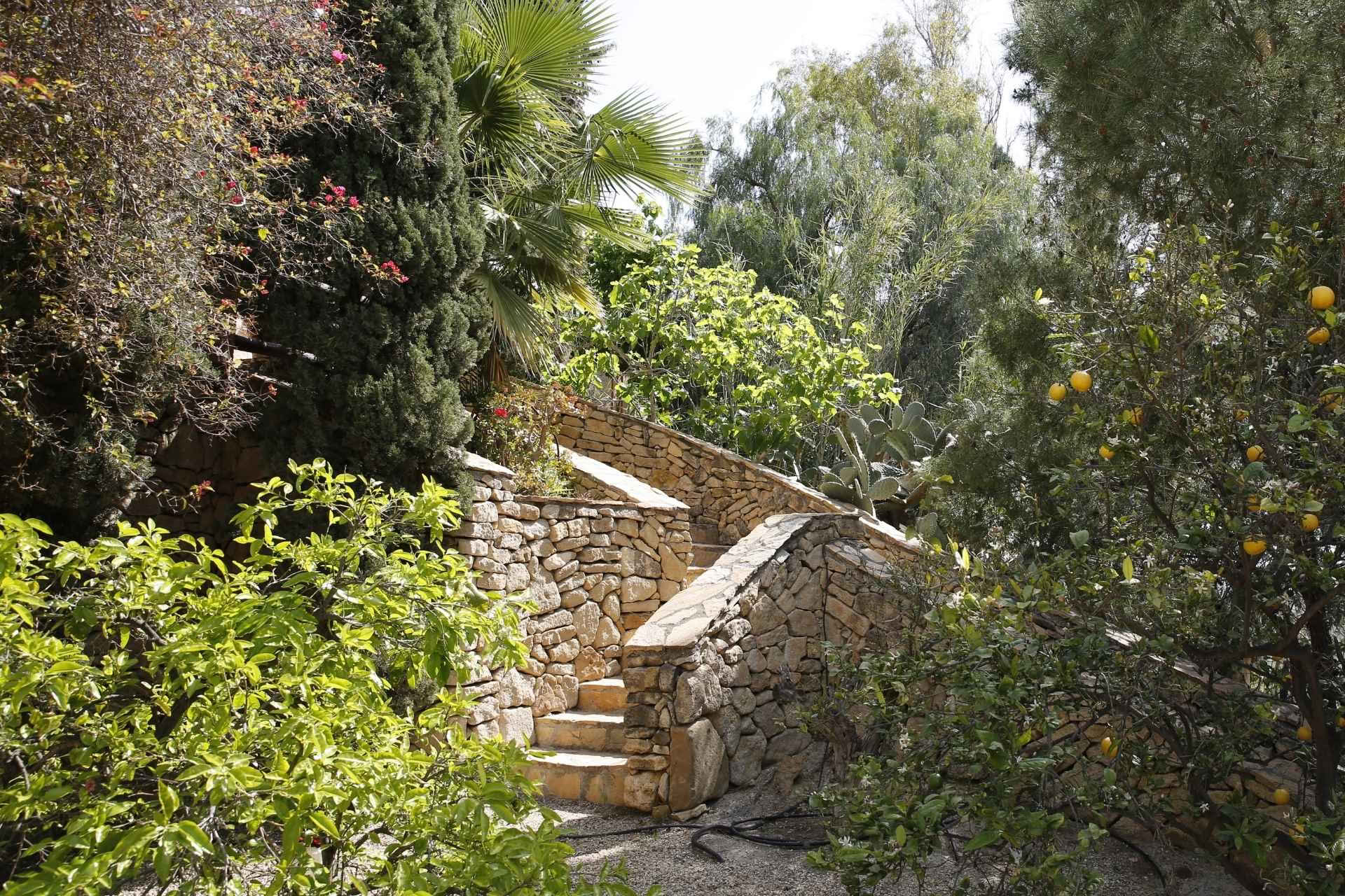 Therapists Ritiro – 8-12 luglio 2026 - Spagna