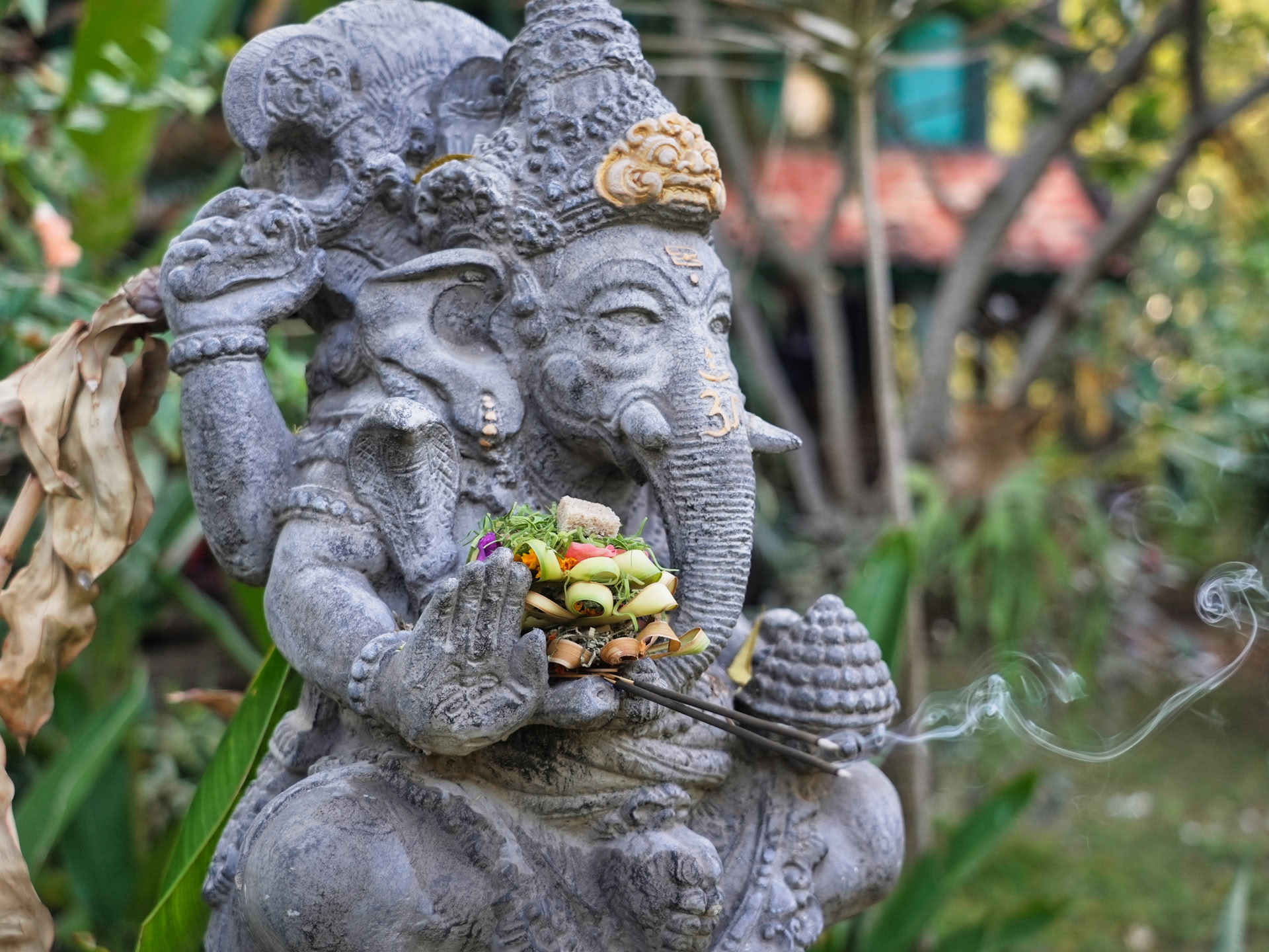 Corso di formazione per insegnanti di yoga (TTC)
