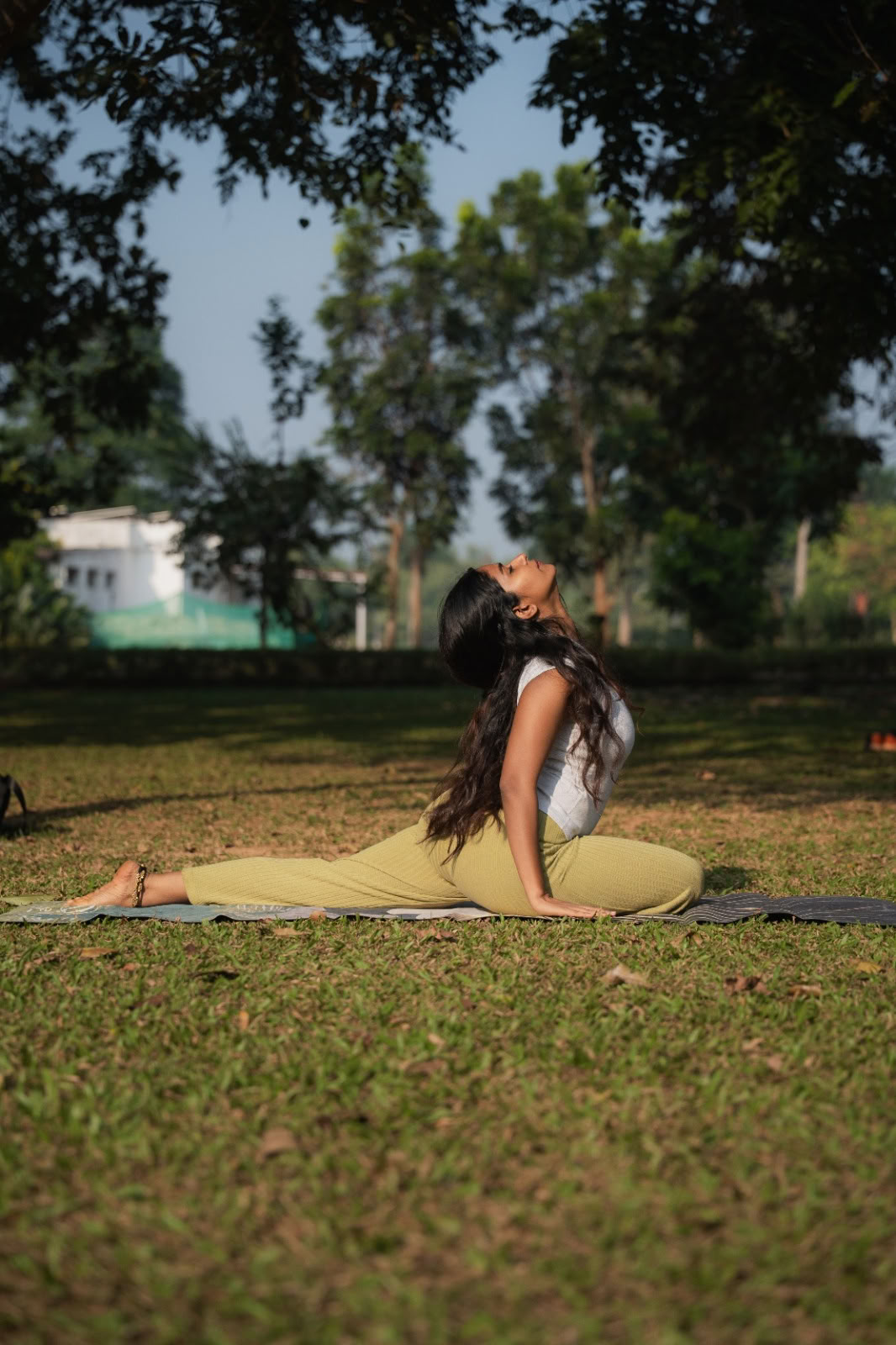 Regenerative Reset Ritiro