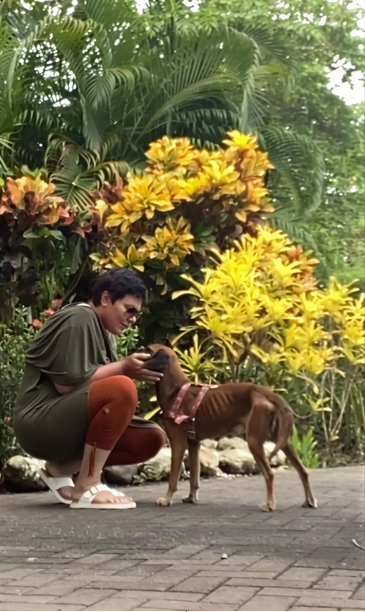 Esperienze di ritiro private 1:1 in Costa Rica