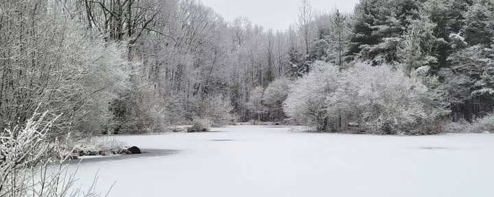 Fiera dell'Artigianato Invernale