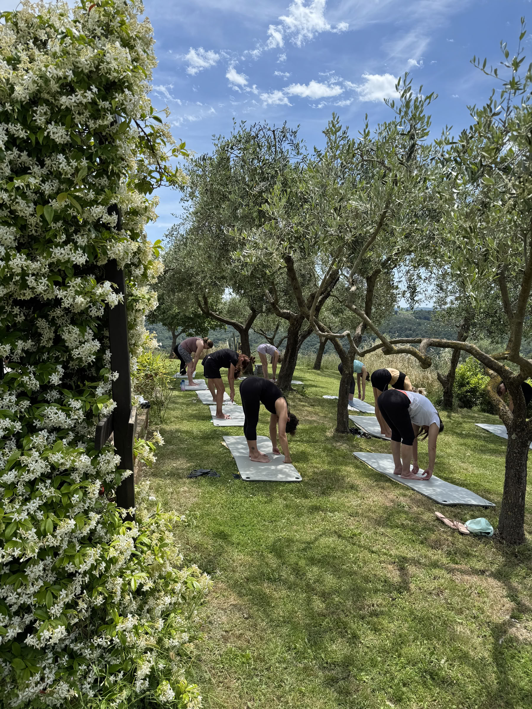 Creating Alignment | Ritiro In Body and Mind