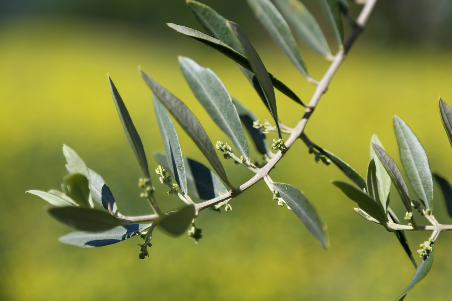 Ritiro Detox Cortisolo