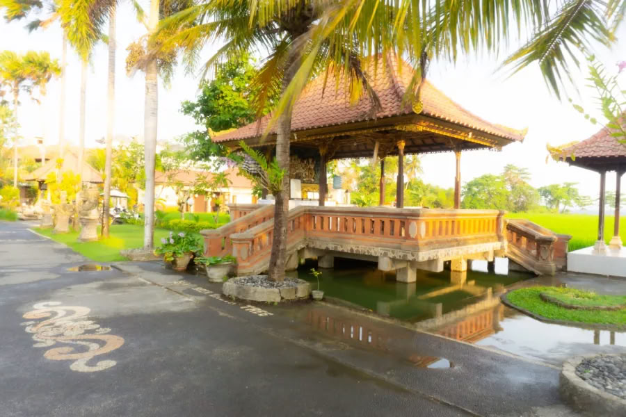 Corso di formazione insegnanti di yoga di 200 ore a Bali