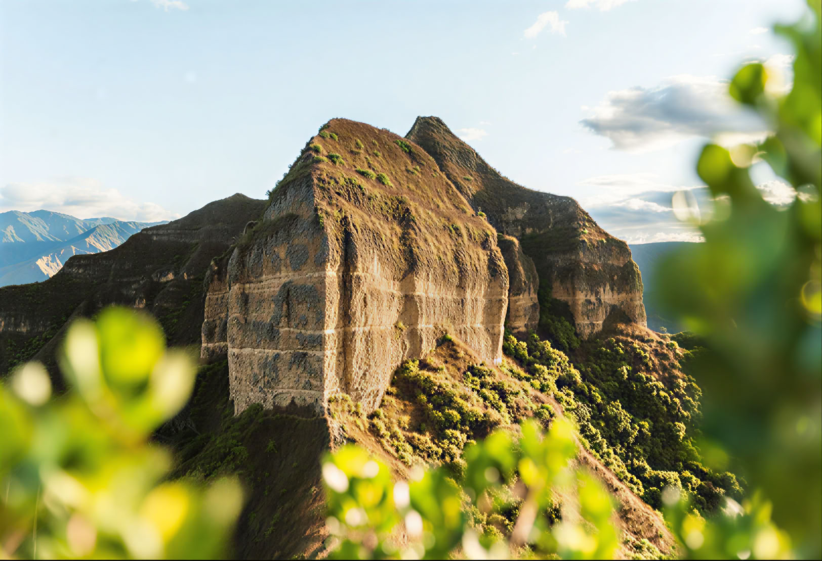 Return to the Earth: Ritiro di 8 Giorni con Ayahuasca, San Pedro + Wilka