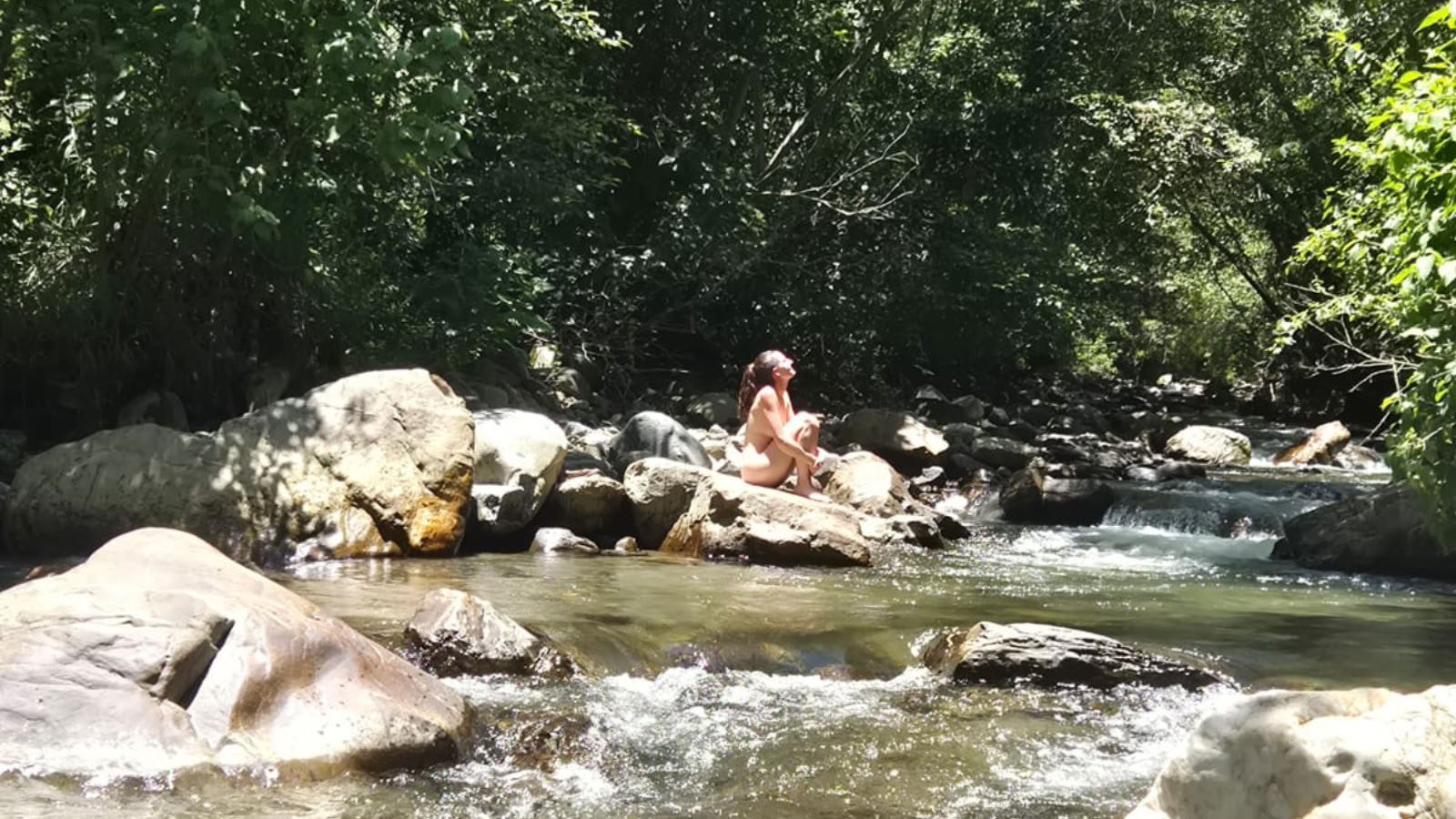 8 Giorni Ritiro di Ayahuasca + San Pedro Ecuador | Ritiro di Medicina delle Piante