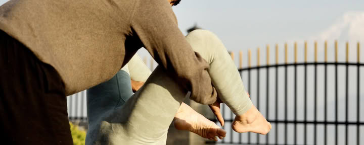 The Art of Yoga Alignment | Programma di 15 Giorni
