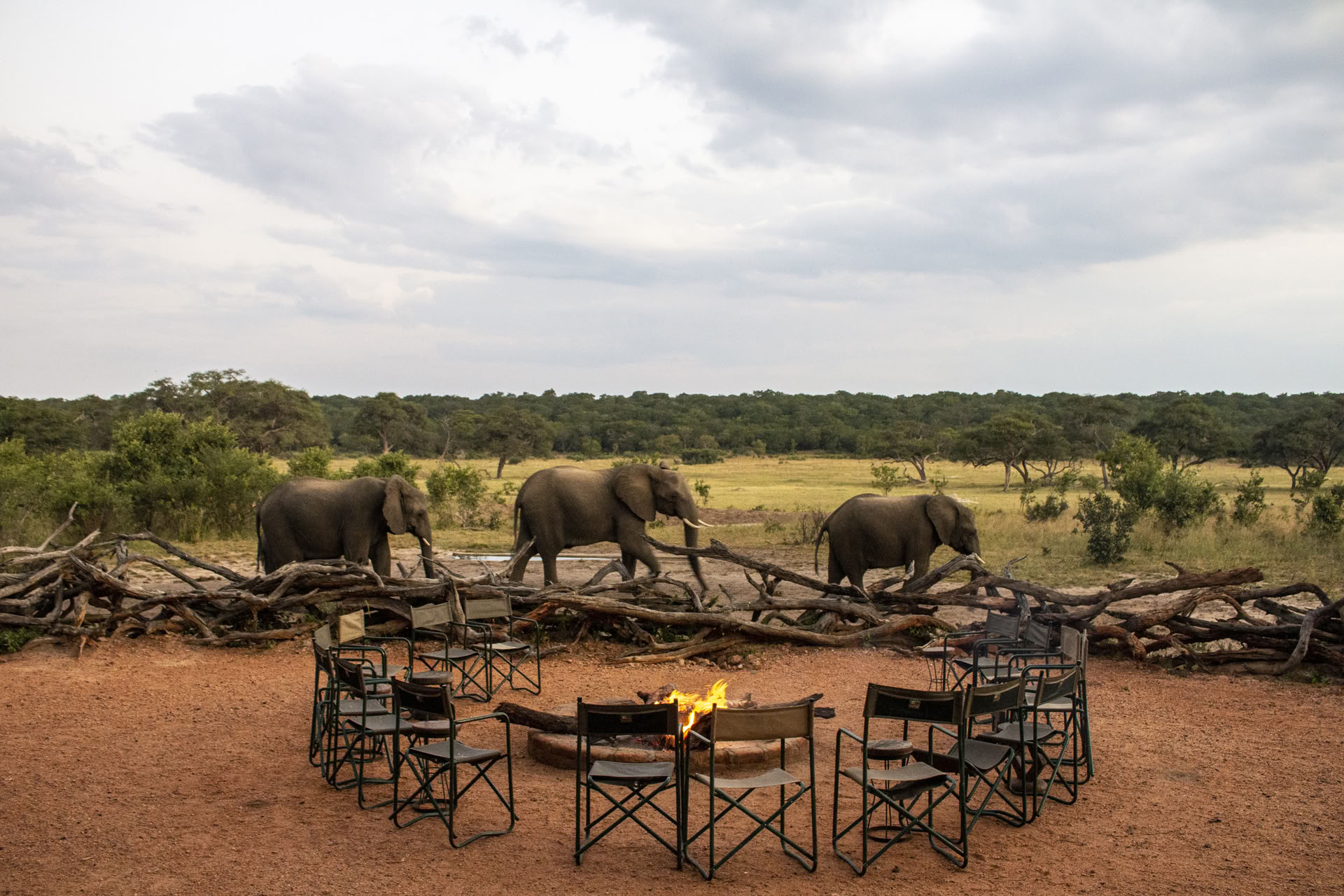 Safari Salute e Benessere