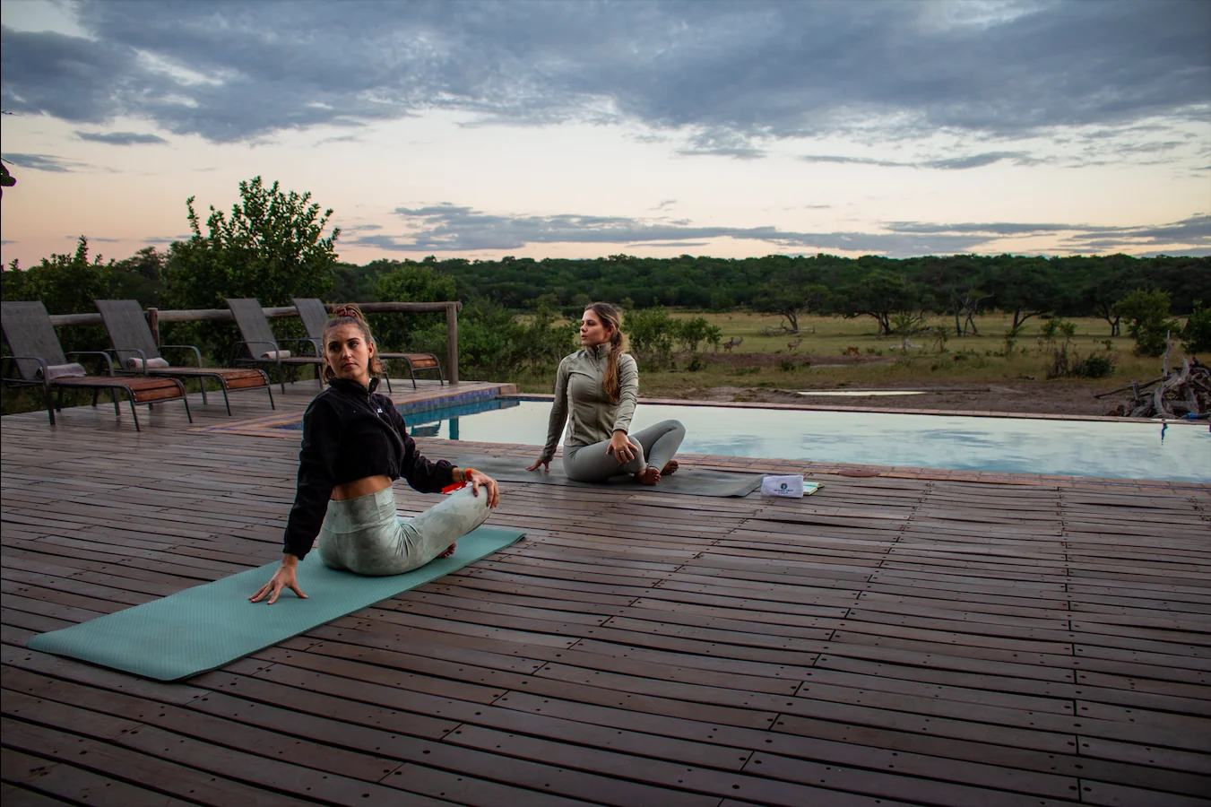 Safari Salute e Benessere