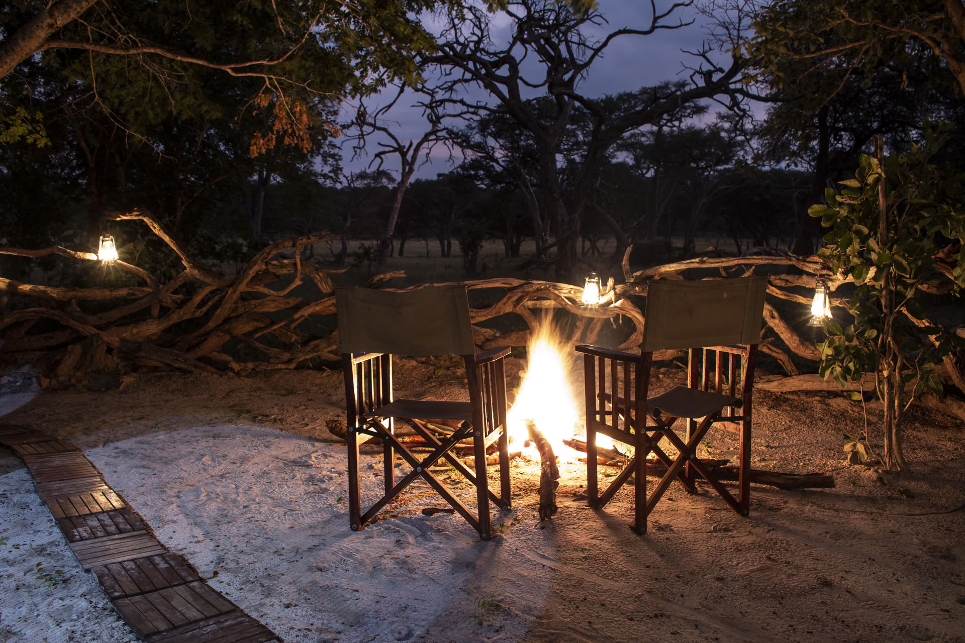 Safari Salute e Benessere
