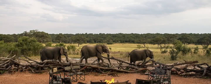 Safari Salute e Benessere