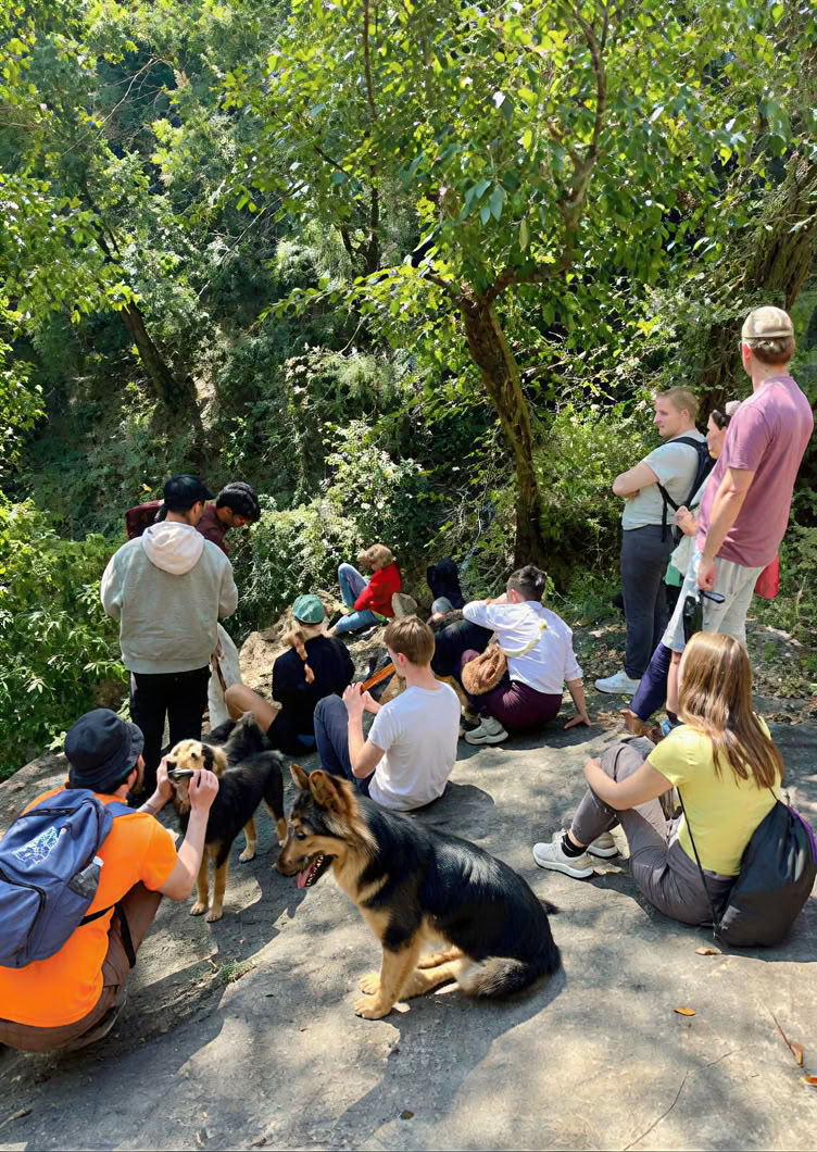 Vipasana a Rishikesh: programma di risveglio silenzioso di 11 giorni.