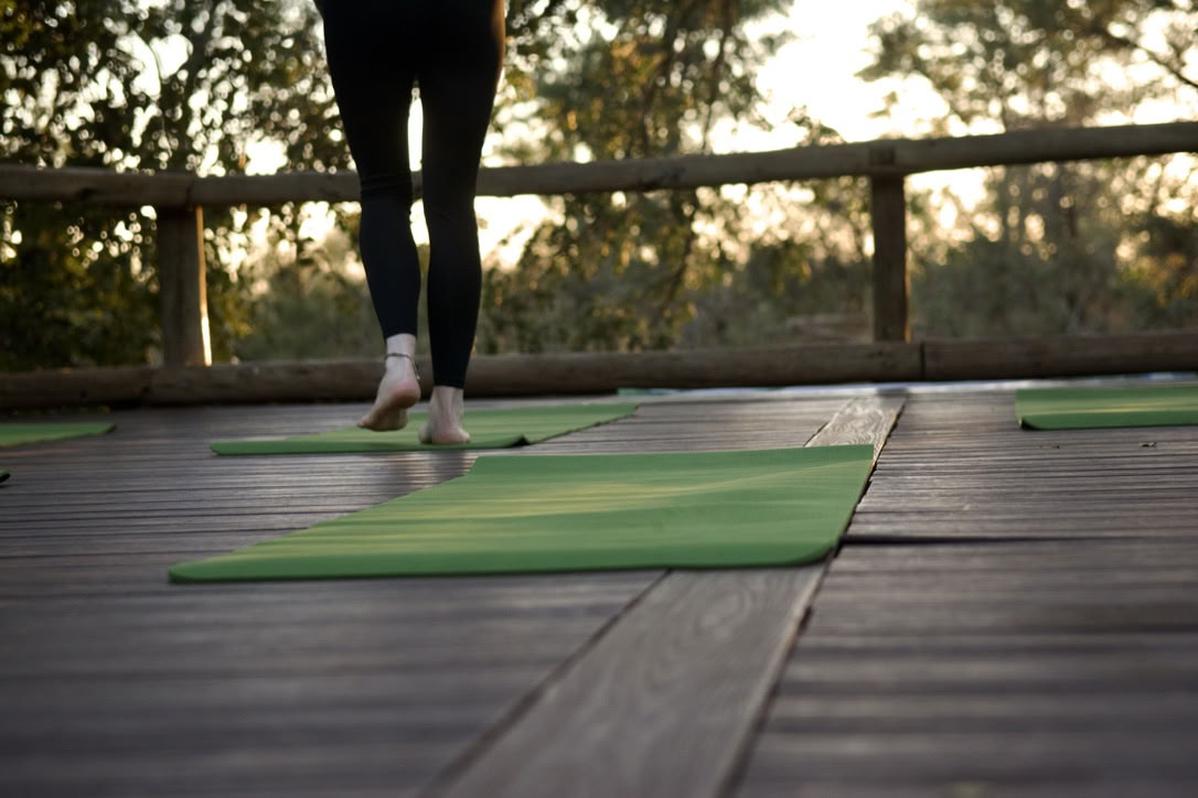 Yoga con gli elefanti